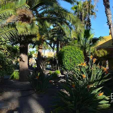 Lejlighed Eva's Atlantic Garden By B-rent Corralejo